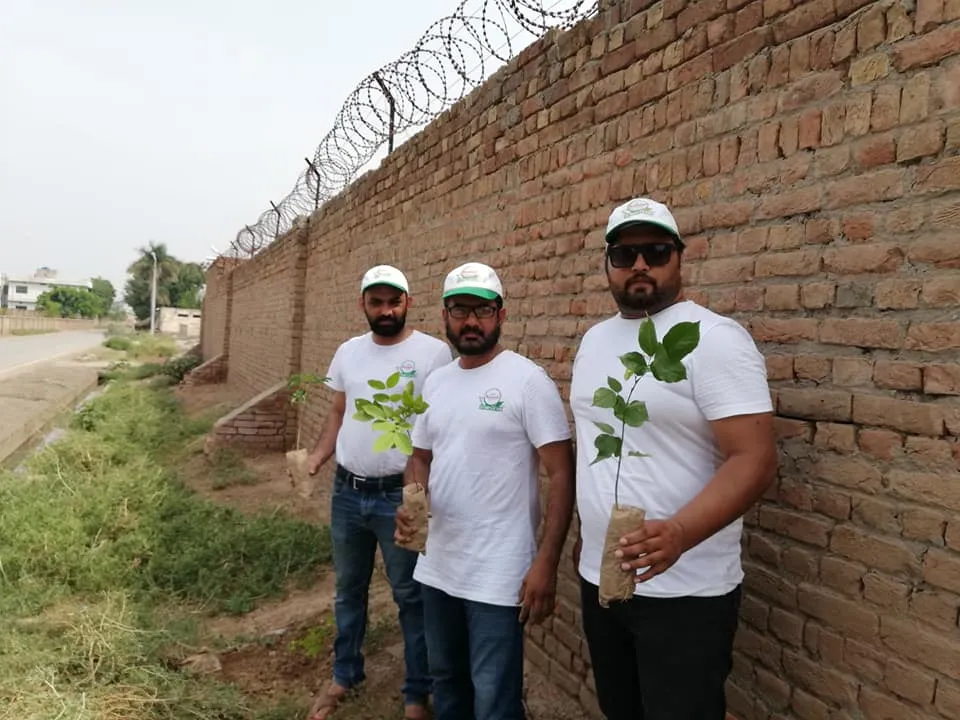 Green Seekers Activity